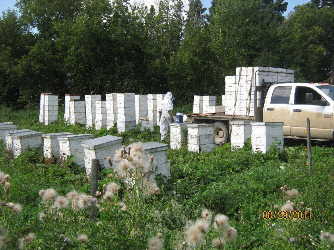 2011 — Early Days photo 4